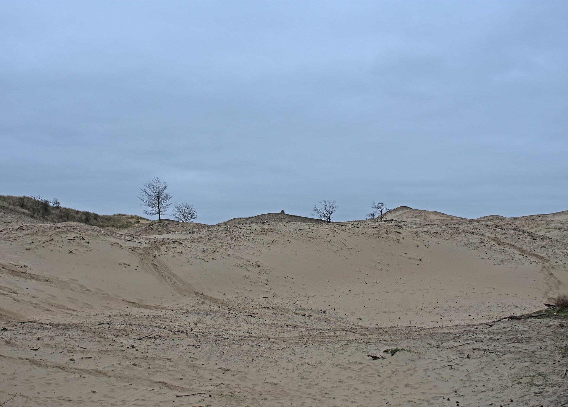 Duinlandschap aan de Nederlandse kust